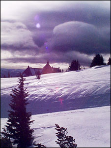 Timberline