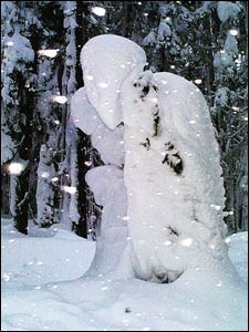 Snow Sculpture